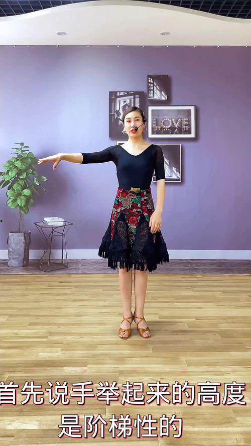 拉丁舞成人教课视频,轻松入门，舞动人生
