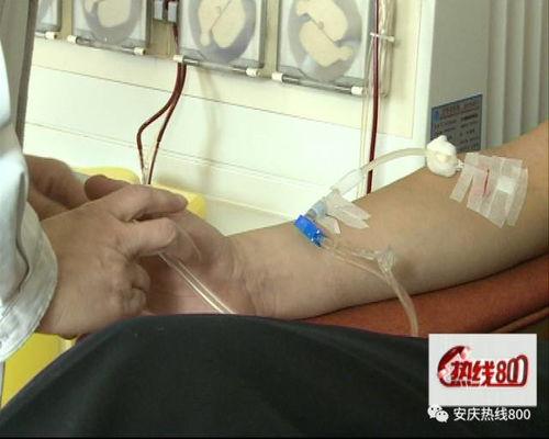成人抽血的过程步骤视频,从准备到完成全过程