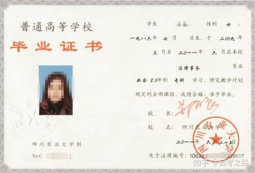 山西成人自考攻略视频,视频精华解析与备考指南