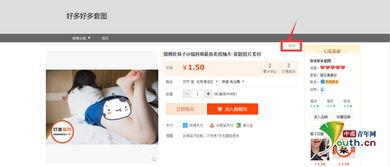 3x免费视频成人版,揭秘3x免费视频成人版精彩内容