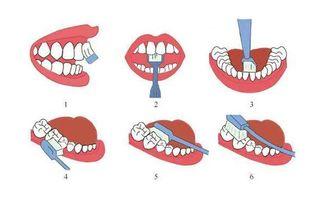 成人刷牙手法图片视频,成人刷牙手法图解与视频教程