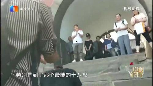 抖动症视频成人,从视频案例看生活影响与应对策略