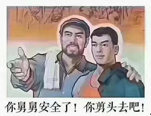 成人如何剃头视频大全,成人剃头视频教程大全解析