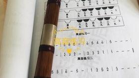 竹笛成人自学视频欣赏,跟随视频领略古韵悠扬