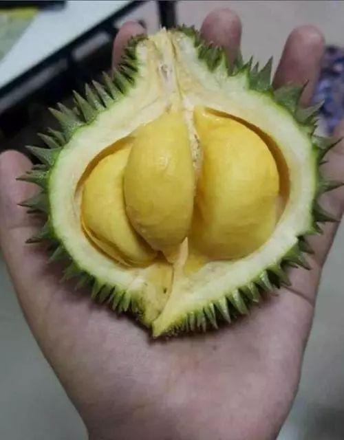 榴莲香蕉糖心视频成人版,成人版甜蜜诱惑揭秘