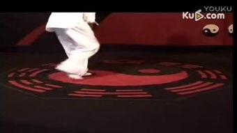 成人练武术视频大全,成人练武术视频大全精选解析
