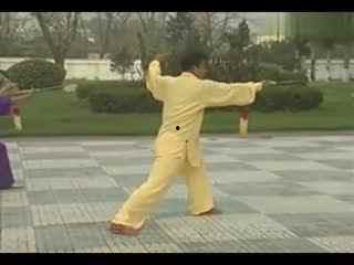 成人练武术视频大全,成人练武术视频大全精选解析