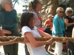 成人小孩参加比赛视频,大小朋友同场竞技欢乐多