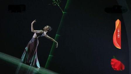 奥特曼衣服成人舞蹈视频,成人版舞蹈视频魅力解析