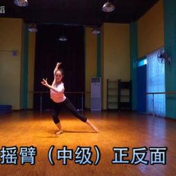 成人舞跳舞视频大全集,成人舞视频大全集精彩回顾