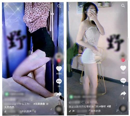 成人抖音短视频安装,解锁成人世界的新潮流