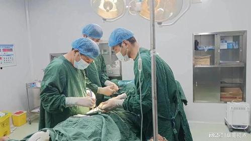 成人隐睾切除手术视频,成人隐睾切除手术全程解析与要点回顾