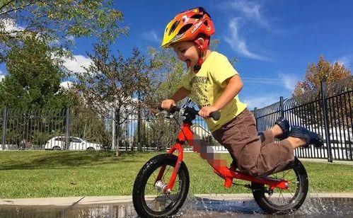 成人滑步车折叠视频,成人滑步车折叠教程视频解析