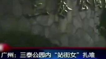 成人情侣野战视频,成人情侣私密瞬间揭秘