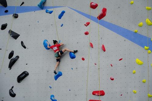 成人怎么学攀岩视频教程,跟随视频教程，轻松掌握成人攀岩技巧