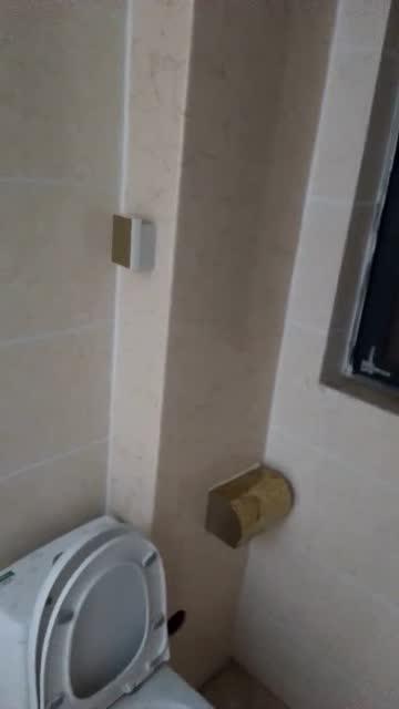 成人上厕所妙招视频大全,成人上厕所妙招视频大全解析