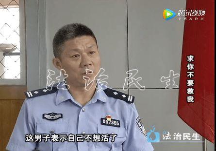 张东成人家暴视频,暴力阴影下的家庭悲剧