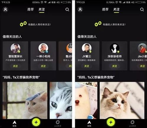 抖抈短视频成人aPP,成人娱乐内容的创新呈现