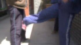 女士成人跳绳防断视频,轻松掌握安全运动之道