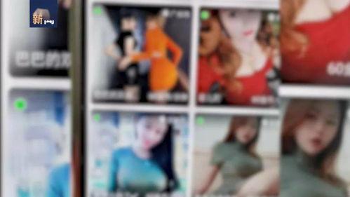 成人大全无禁视频,无禁视频揭秘