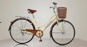 凤凰成人自行车直播视频,畅享骑行乐趣，解锁健康生活新篇章